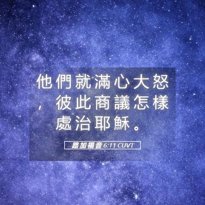 Picture 05 - 路 加 福 音 6:11 CUVT - 他 們 就 滿 心 大 怒 ， 彼 此 商 議 - Bible Verse Picture