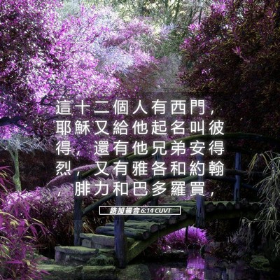 Picture 05 - 路 加 福 音 6:14 CUVT - 這 十 二 個 人 有 西 門 ， 耶 穌 又 - Bible Verse Picture