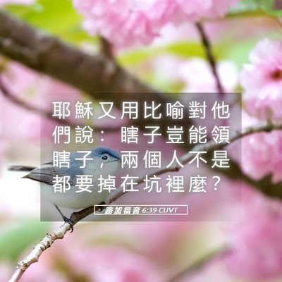 Picture 05 - 路 加 福 音 6:39 CUVT - 耶 穌 又 用 比 喻 對 他 們 說 ： 瞎 - Bible Verse Picture