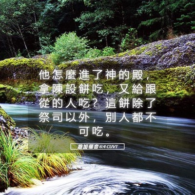 Picture 05 - 路 加 福 音 6:4 CUVT - 他 怎 麼 進 了 神 的 殿 ， 拿 陳 設 - Bible Verse Picture