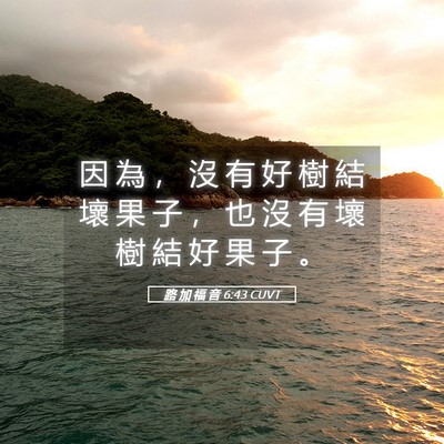Picture 05 - 路 加 福 音 6:43 CUVT - 因 為 ， 沒 有 好 樹 結 壞 果 子 ， - Bible Verse Picture