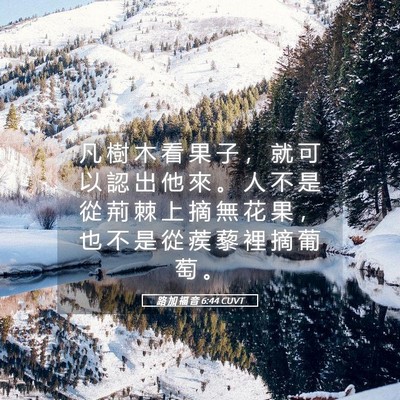 Picture 05 - 路 加 福 音 6:44 CUVT - 凡 樹 木 看 果 子 ， 就 可 以 認 出 - Bible Verse Picture