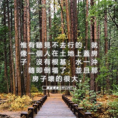Picture 05 - 路 加 福 音 6:49 CUVT - 惟 有 聽 見 不 去 行 的 ， 就 像 一 - Bible Verse Picture