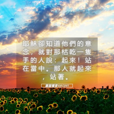 Picture 05 - 路 加 福 音 6:8 CUVT - 耶 穌 卻 知 道 他 們 的 意 念 ， 就 - Bible Verse Picture