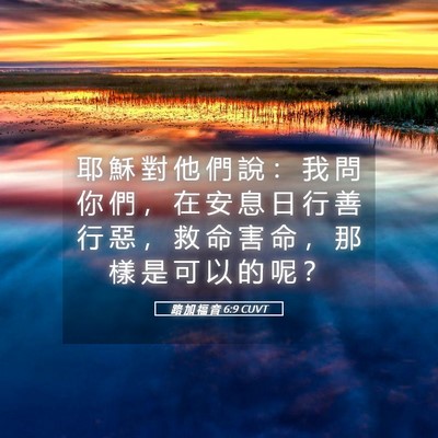 Picture 05 - 路 加 福 音 6:9 CUVT - 耶 穌 對 他 們 說 ： 我 問 你 們 ， - Bible Verse Picture