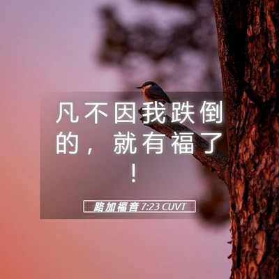 Picture 05 - 路 加 福 音 7:23 CUVT - 凡 不 因 我 跌 倒 的 ， 就 有 福 了 - Bible Verse Picture