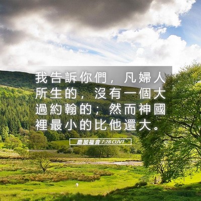Picture 05 - 路 加 福 音 7:28 CUVT - 我 告 訴 你 們 ， 凡 婦 人 所 生 的 - Bible Verse Picture