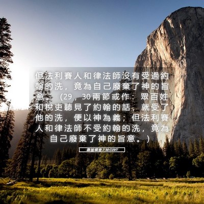 Picture 05 - 路 加 福 音 7:30 CUVT - 但 法 利 賽 人 和 律 法 師 沒 有 受 - Bible Verse Picture