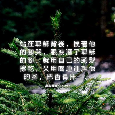 Picture 05 - 路 加 福 音 7:38 CUVT - 站 在 耶 穌 背 後 ， 挨 著 他 的 腳 - Bible Verse Picture