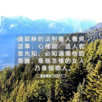 Picture 05 - 路 加 福 音 7:39 CUVT - 請 耶 穌 的 法 利 賽 人 看 見 這 事 - Bible Verse Picture