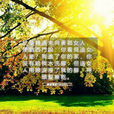 Picture 05 - 路 加 福 音 7:44 CUVT - 於 是 轉 過 來 向 著 那 女 人 ， 便 - Bible Verse Picture