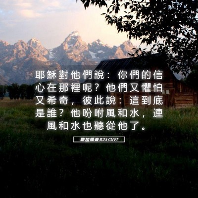 Picture 05 - 路 加 福 音 8:25 CUVT - 耶 穌 對 他 們 說 ： 你 們 的 信 心 - Bible Verse Picture