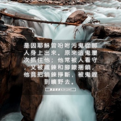 Picture 05 - 路 加 福 音 8:29 CUVT - 是 因 耶 穌 曾 吩 咐 污 鬼 從 那 人 - Bible Verse Picture