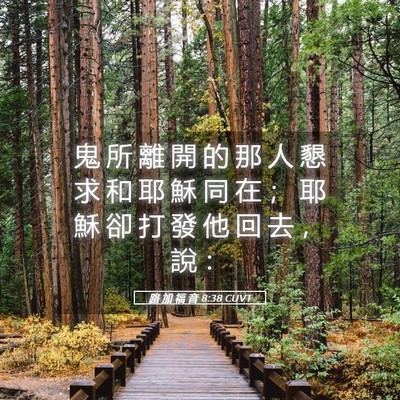 Picture 05 - 路 加 福 音 8:38 CUVT - 鬼 所 離 開 的 那 人 懇 求 和 耶 穌 - Bible Verse Picture