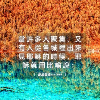 Picture 05 - 路 加 福 音 8:4 CUVT - 當 許 多 人 聚 集 、 又 有 人 從 各 - Bible Verse Picture