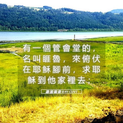 Picture 05 - 路 加 福 音 8:41 CUVT - 有 一 個 管 會 堂 的 ， 名 叫 睚 魯 - Bible Verse Picture