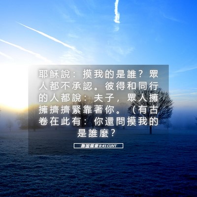 Picture 05 - 路 加 福 音 8:45 CUVT - 耶 穌 說 ： 摸 我 的 是 誰 ？ 眾 人 - Bible Verse Picture