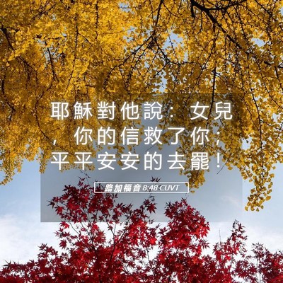 Picture 05 - 路 加 福 音 8:48 CUVT - 耶 穌 對 他 說 ： 女 兒 ， 你 的 信 - Bible Verse Picture