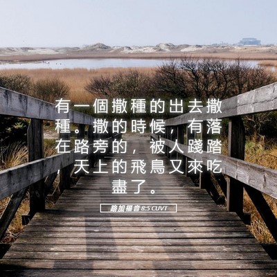 Picture 05 - 路 加 福 音 8:5 CUVT - 有 一 個 撒 種 的 出 去 撒 種 。 撒 - Bible Verse Picture