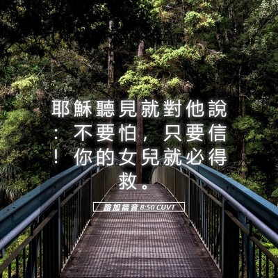 Picture 05 - 路 加 福 音 8:50 CUVT - 耶 穌 聽 見 就 對 他 說 ： 不 要 怕 - Bible Verse Picture