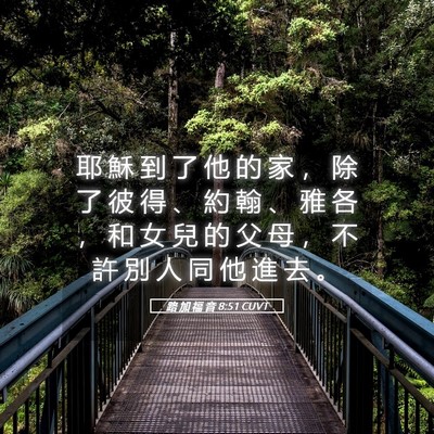 Picture 05 - 路 加 福 音 8:51 CUVT - 耶 穌 到 了 他 的 家 ， 除 了 彼 得 - Bible Verse Picture