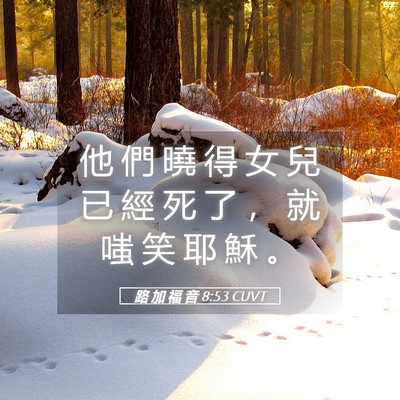 Picture 05 - 路 加 福 音 8:53 CUVT - 他 們 曉 得 女 兒 已 經 死 了 ， 就 - Bible Verse Picture