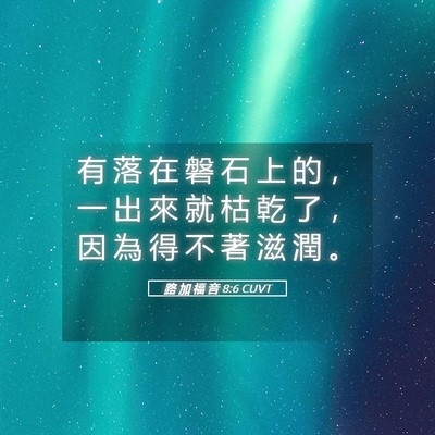 Picture 05 - 路 加 福 音 8:6 CUVT - 有 落 在 磐 石 上 的 ， 一 出 來 就 - Bible Verse Picture
