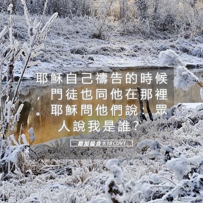 Picture 05 - 路 加 福 音 9:18 CUVT - 耶 穌 自 己 禱 告 的 時 候 ， 門 徒 - Bible Verse Picture