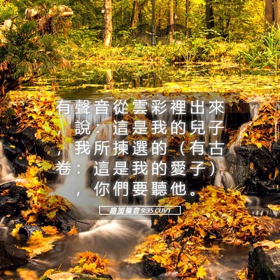 Picture 05 - 路 加 福 音 9:35 CUVT - 有 聲 音 從 雲 彩 裡 出 來 ， 說 ： - Bible Verse Picture