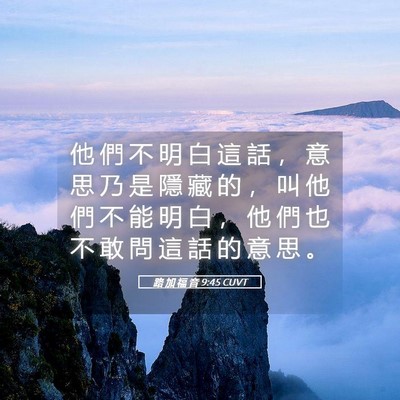 Picture 05 - 路 加 福 音 9:45 CUVT - 他 們 不 明 白 這 話 ， 意 思 乃 是 - Bible Verse Picture