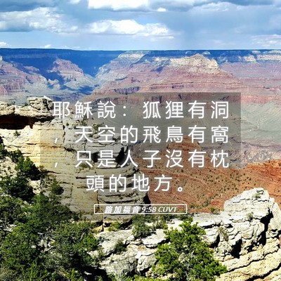 Picture 05 - 路 加 福 音 9:58 CUVT - 耶 穌 說 ： 狐 狸 有 洞 ， 天 空 的 - Bible Verse Picture