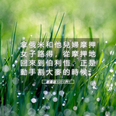 Picture 05 - 路 得 記 1:22 CUVT - 拿 俄 米 和 他 兒 婦 摩 押 女 子 路 - Bible Verse Picture