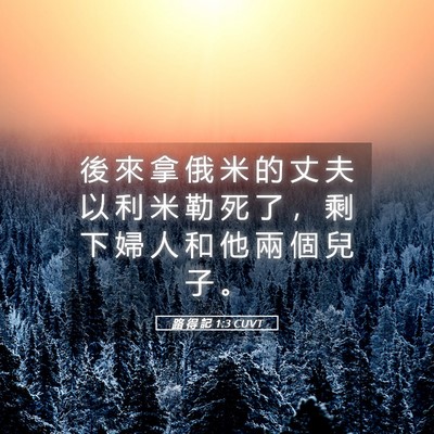 Picture 05 - 路 得 記 1:3 CUVT - 後 來 拿 俄 米 的 丈 夫 以 利 米 勒 - Bible Verse Picture