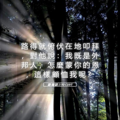 Picture 05 - 路 得 記 2:10 CUVT - 路 得 就 俯 伏 在 地 叩 拜 ， 對 他 - Bible Verse Picture