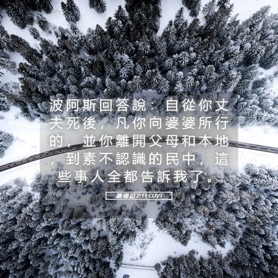 Picture 05 - 路 得 記 2:11 CUVT - 波 阿 斯 回 答 說 ： 自 從 你 丈 夫 - Bible Verse Picture