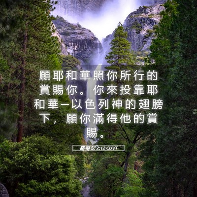 Picture 05 - 路 得 記 2:12 CUVT - 願 耶 和 華 照 你 所 行 的 賞 賜 你 - Bible Verse Picture
