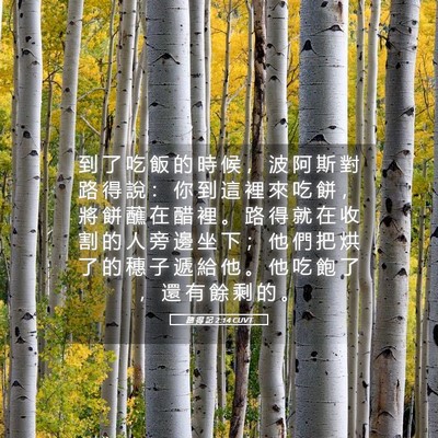 Picture 05 - 路 得 記 2:14 CUVT - 到 了 吃 飯 的 時 候 ， 波 阿 斯 對 - Bible Verse Picture