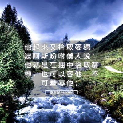 Picture 05 - 路 得 記 2:15 CUVT - 他 起 來 又 拾 取 麥 穗 ， 波 阿 斯 - Bible Verse Picture