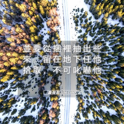 Picture 05 - 路 得 記 2:16 CUVT - 並 要 從 捆 裡 抽 出 些 來 ， 留 在 - Bible Verse Picture