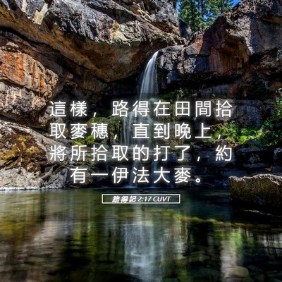Picture 05 - 路 得 記 2:17 CUVT - 這 樣 ， 路 得 在 田 間 拾 取 麥 穗 - Bible Verse Picture