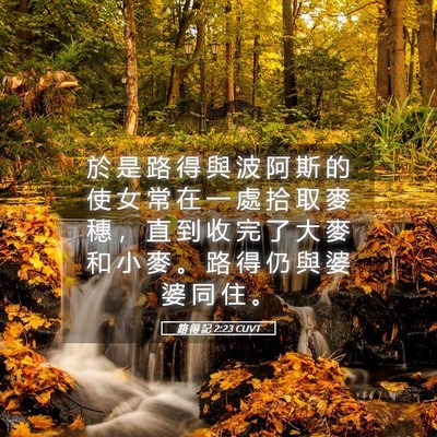 Picture 05 - 路 得 記 2:23 CUVT - 於 是 路 得 與 波 阿 斯 的 使 女 常 - Bible Verse Picture