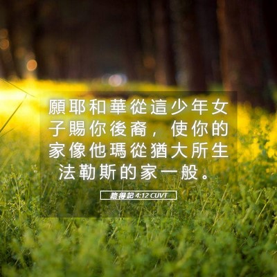Picture 05 - 路 得 記 4:12 CUVT - 願 耶 和 華 從 這 少 年 女 子 賜 你 - Bible Verse Picture