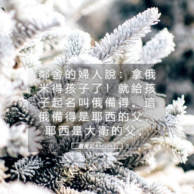 Picture 05 - 路 得 記 4:17 CUVT - 鄰 舍 的 婦 人 說 ： 拿 俄 米 得 孩 - Bible Verse Picture