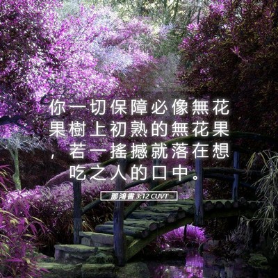 Picture 05 - 那 鴻 書 3:12 CUVT - 你 一 切 保 障 必 像 無 花 果 樹 上 - Bible Verse Picture