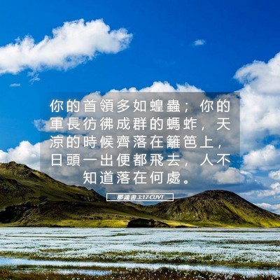 Picture 05 - 那 鴻 書 3:17 CUVT - 你 的 首 領 多 如 蝗 蟲 ； 你 的 軍 - Bible Verse Picture