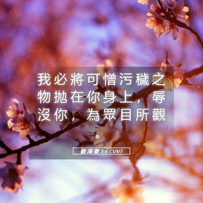 Picture 05 - 那 鴻 書 3:6 CUVT - 我 必 將 可 憎 污 穢 之 物 拋 在 你 - Bible Verse Picture