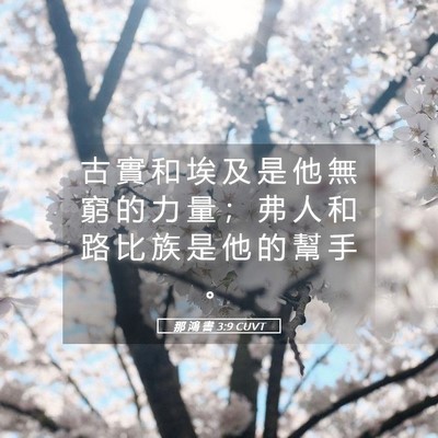 Picture 05 - 那 鴻 書 3:9 CUVT - 古 實 和 埃 及 是 他 無 窮 的 力 量 - Bible Verse Picture