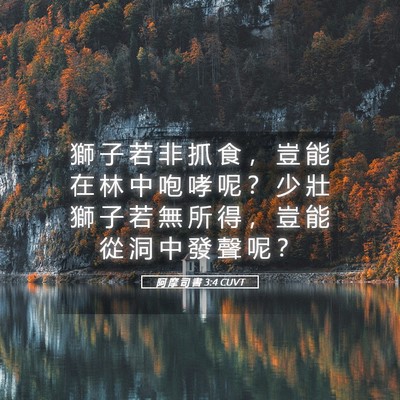 Picture 05 - 阿 摩 司 書 3:4 CUVT - 獅 子 若 非 抓 食 ， 豈 能 在 林 中 - Bible Verse Picture