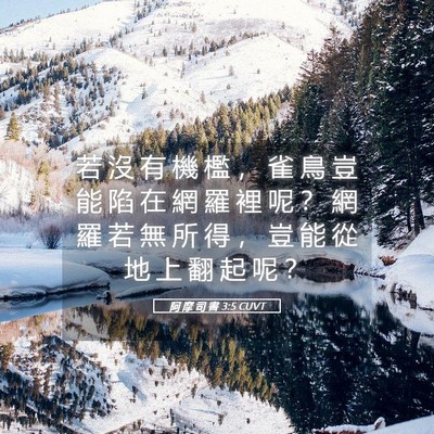 Picture 05 - 阿 摩 司 書 3:5 CUVT - 若 沒 有 機 檻 ， 雀 鳥 豈 能 陷 在 - Bible Verse Picture