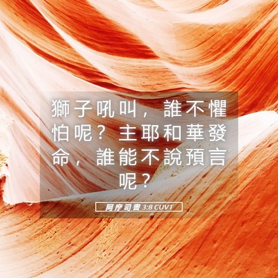 Picture 05 - 阿 摩 司 書 3:8 CUVT - 獅 子 吼 叫 ， 誰 不 懼 怕 呢 ？ 主 - Bible Verse Picture